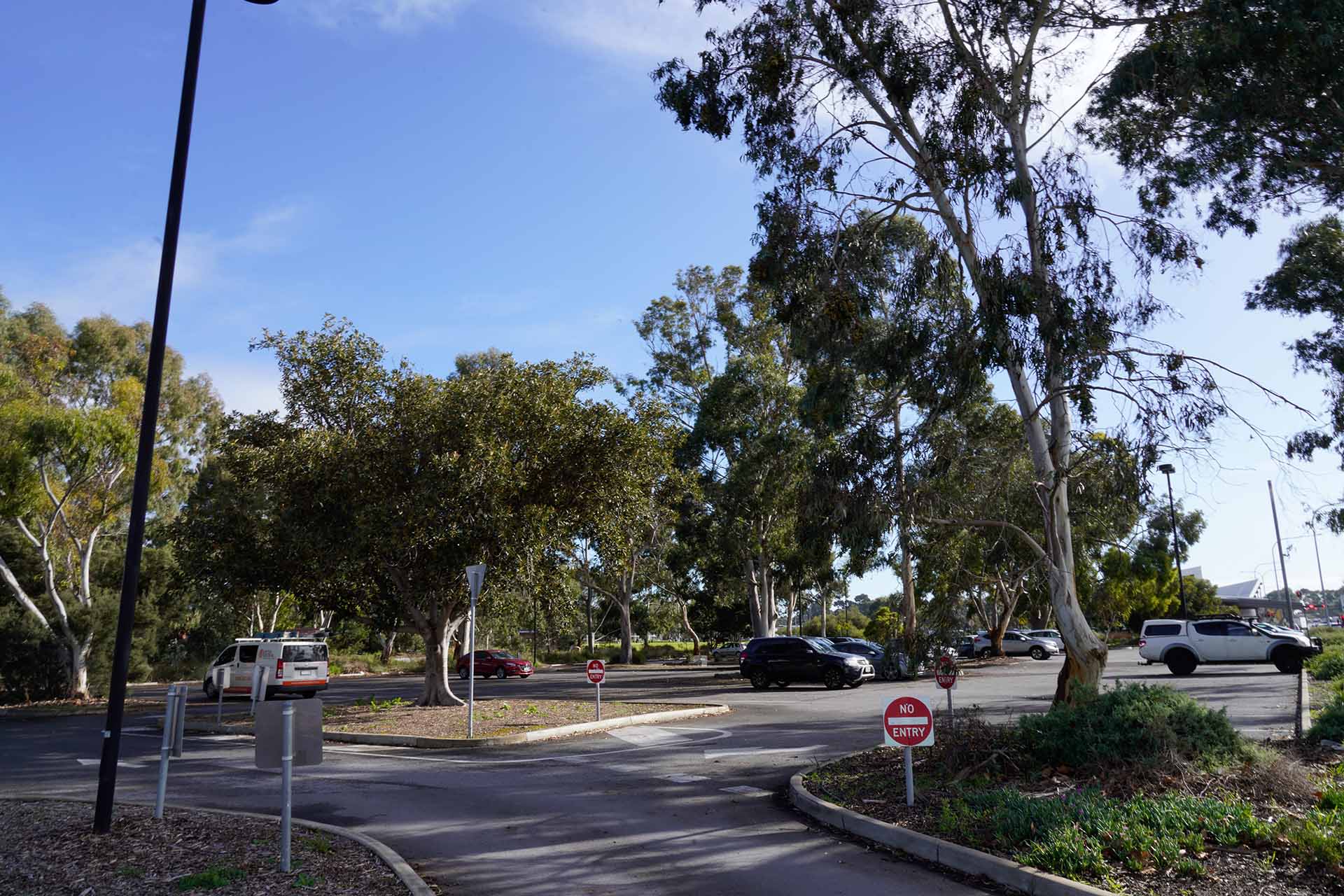 Trees on eastern extent of Kings Reserve, Torrensville. A carpark is visible.